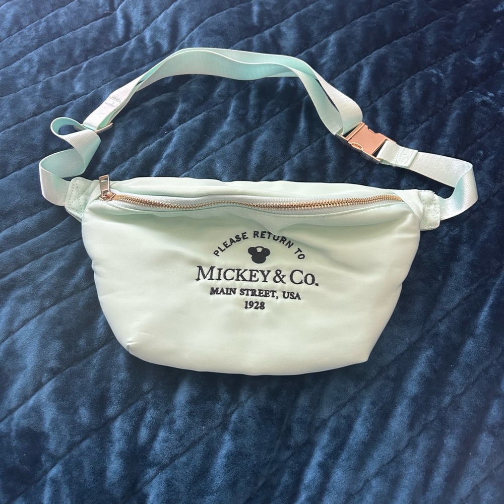 Mickey & Co. Mint Green Belt Bag